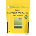Graines de gazon paspalum vaginatum