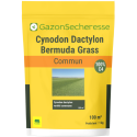 cynodon dactylon - Bermuda grass