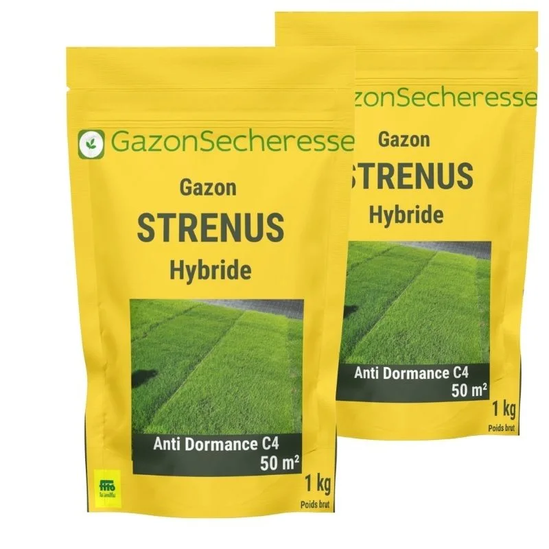 gazon strenus gazon climat tempéré