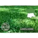 Semences de Gazon Prairie rustique