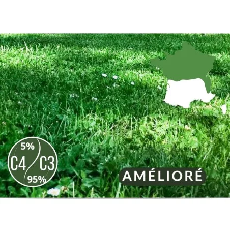 Semences de Gazon Prairie rustique