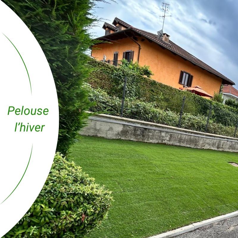 stremuda classique en hiver