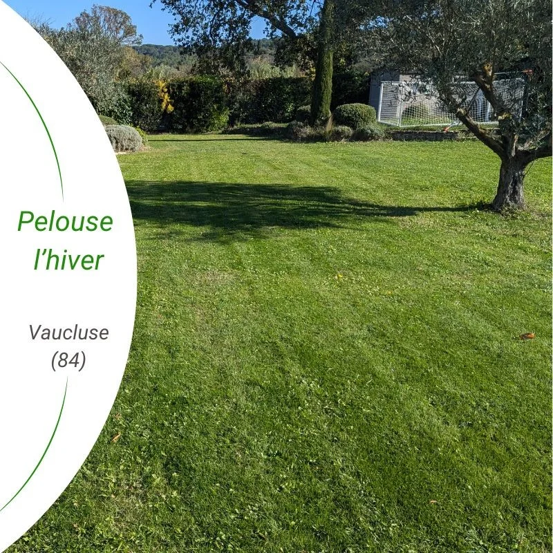 photo d'hiver du stremuda