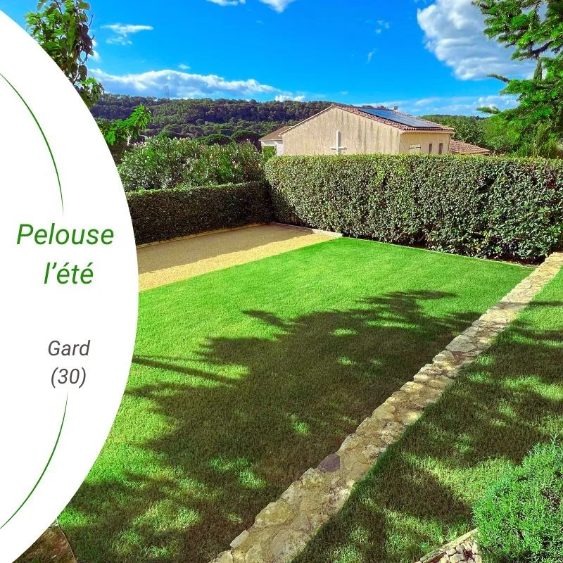 photo d'été du stremuda