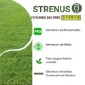 Caractéristiques du gazon Strenus
