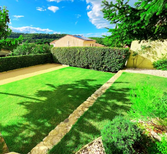 Photo Bermuda Grass copy Photo Bermuda Grass