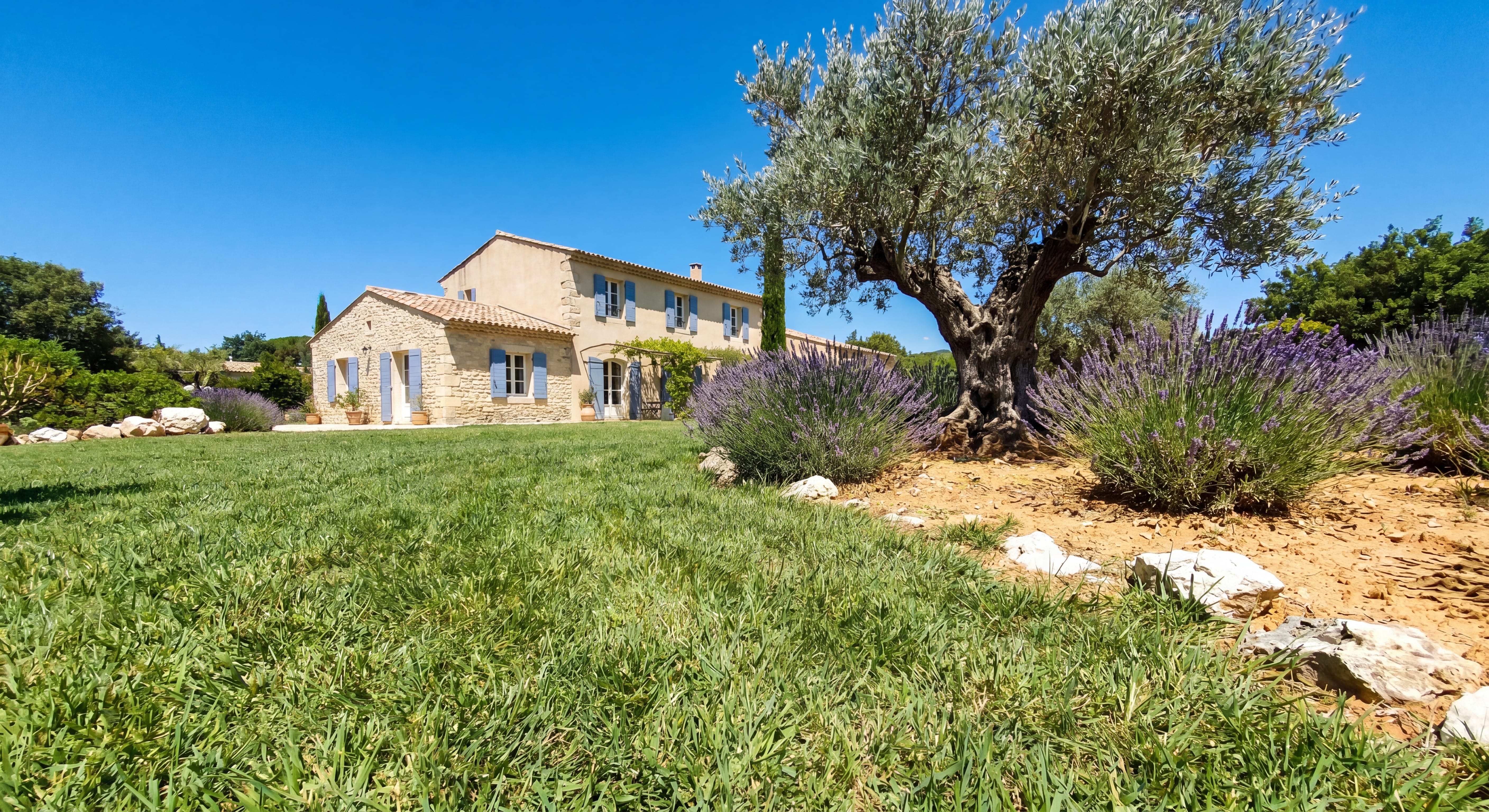 Quel gazon pour sol sableux ?