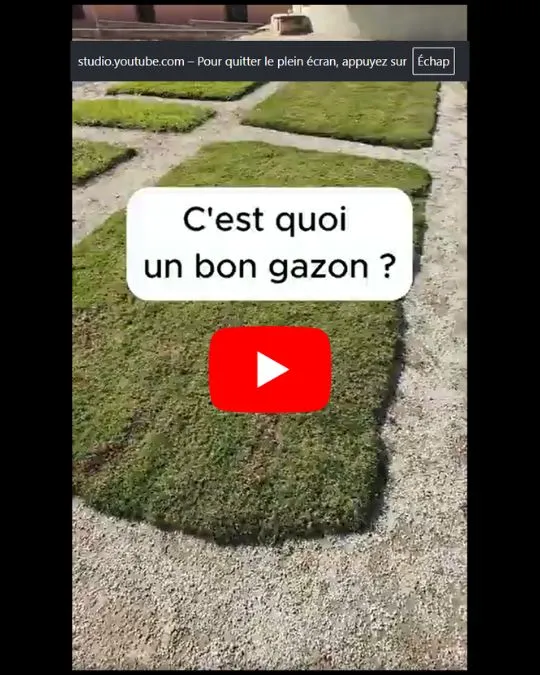 Qu'est ce qu'une bonne pelouse ?