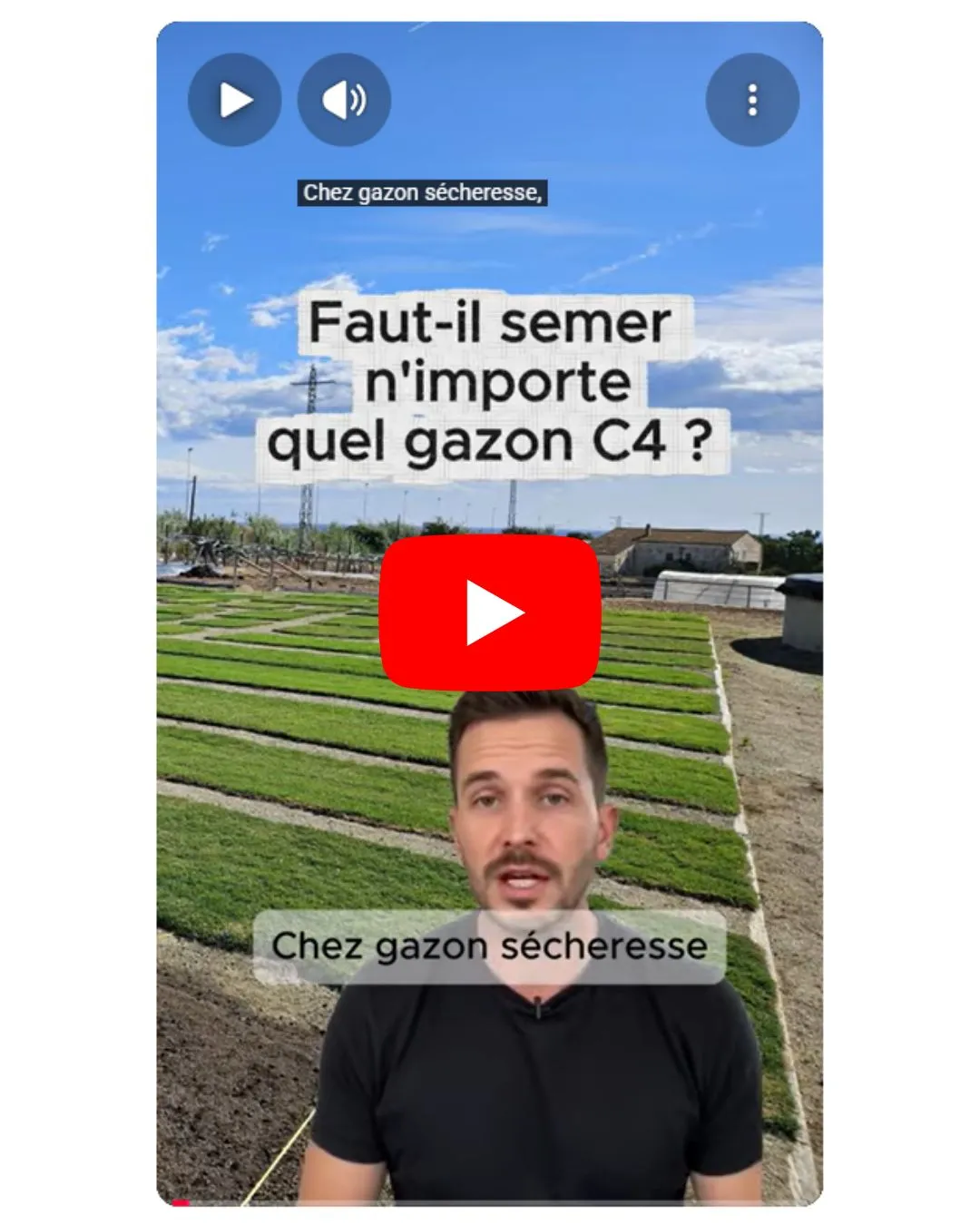 quel cynodon dactylon  semer pour un gazon ?