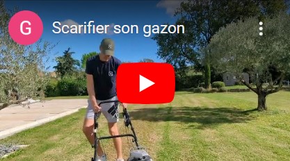 scarifier pelouse avant apres