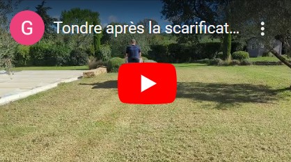 scarifier sa pelouse