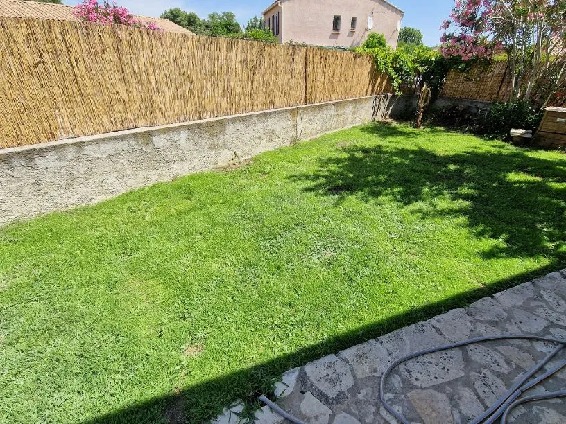 Cynodon dactylon amélioré Photo Cynodon dactylon amélioré