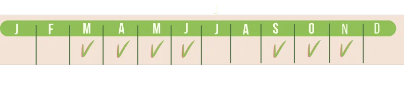 Calendrier de semis du Bermuda grass IBIZA