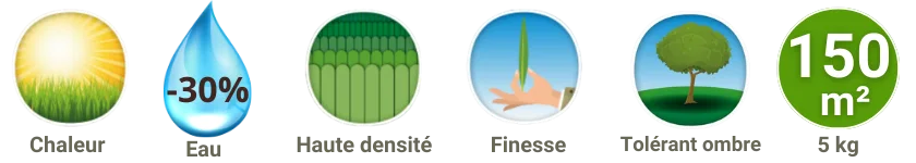 Caractéristiques gazon rustique