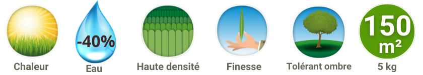 Caractéristiques gazon rustique