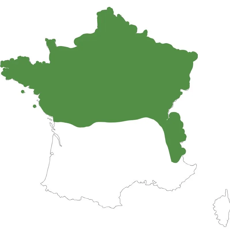 Zone géographique de semis du cynodon dactylon Hybride