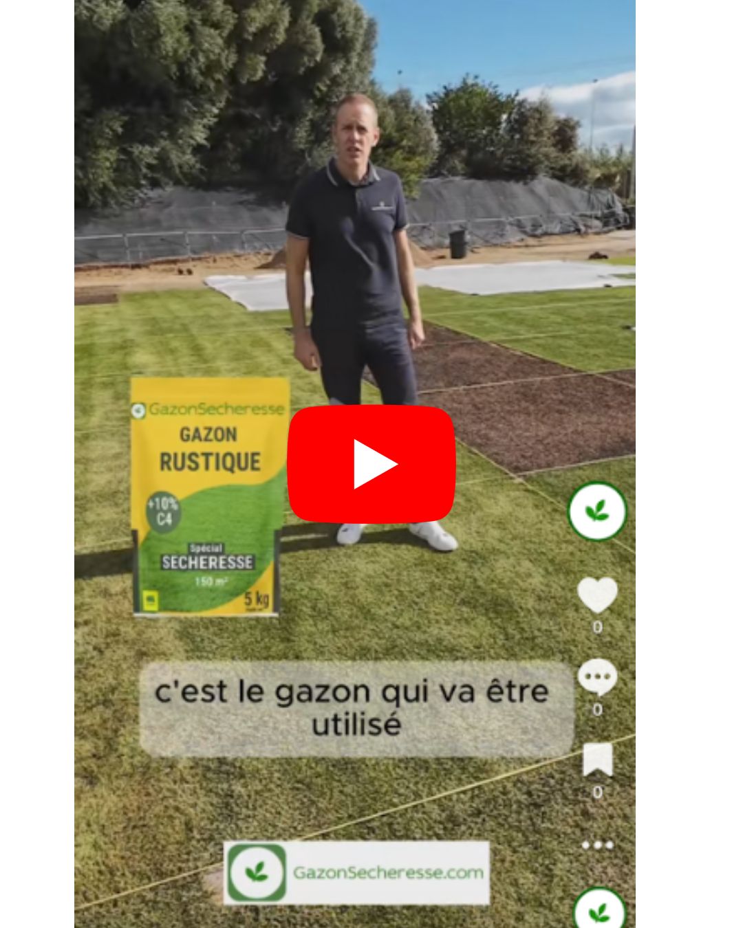 Gazon Rustique Résistant à la Sécheresse