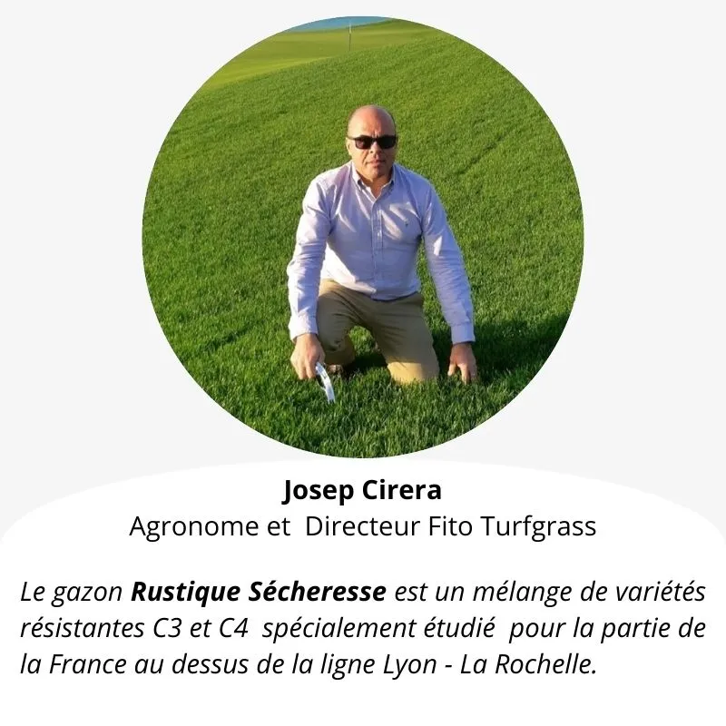 Photo d'un professionnel qui parle du gazon rustique sécheresse