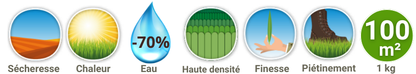 Caractéristiques techniques gazon Ibiza