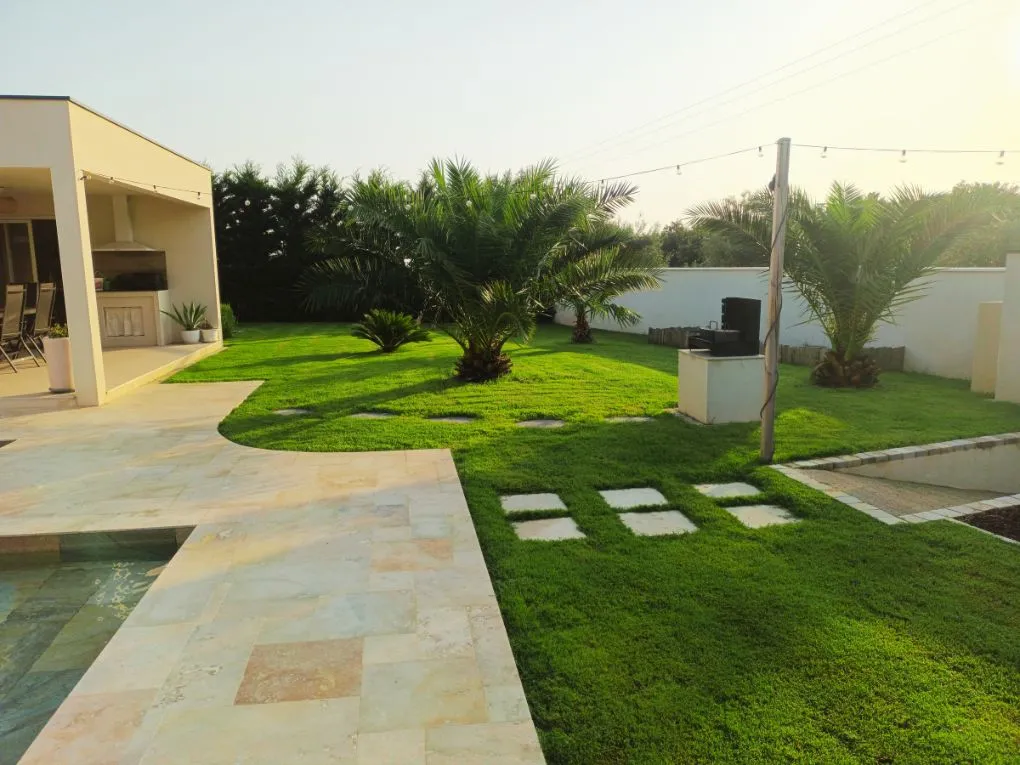 cynodon dactylon et strenus cynodon dactylon et strenus