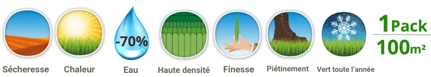 caractéristiques du pack Ibiza + Strenus