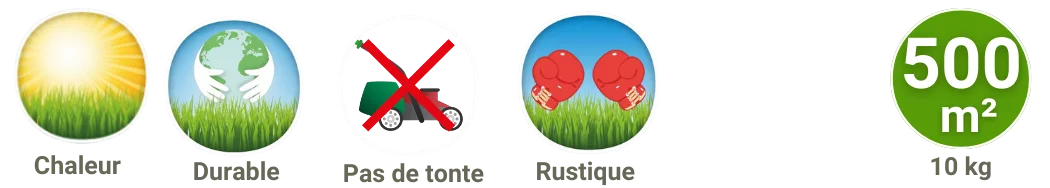 gazon prairie rustique