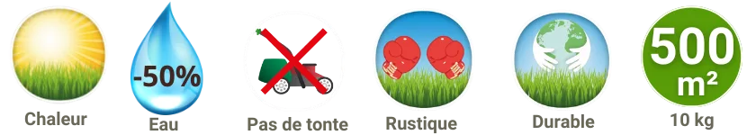 gazon prairie rustique