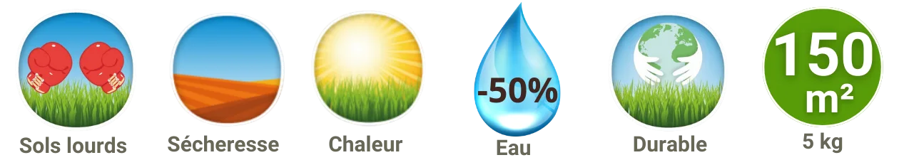 Gazon STARGIL résistant aux sols agrileux et résistant sécheresse