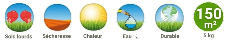 Gazon STARGIL résistant aux sols agrileux et résistant sécheresse