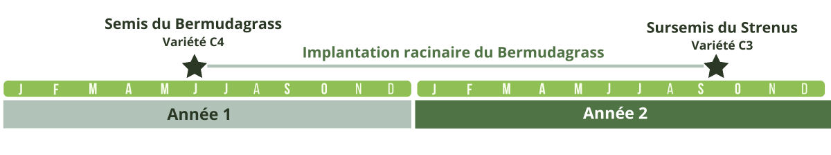 Calendrier d'implantation du gazon STREMUDA