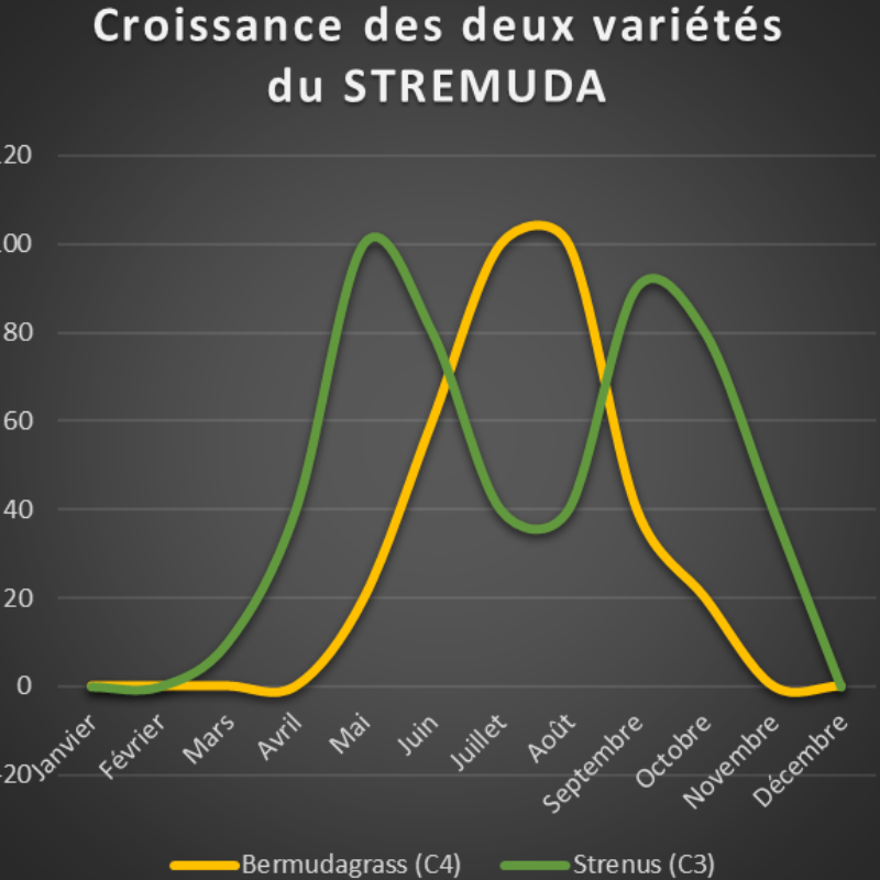 Croissance d'un Pelouse durable 