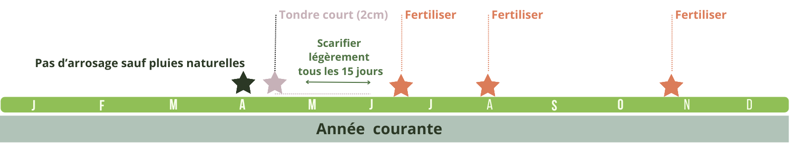 Calendrier d'entretien du Gazon STREMUDA, le meilleur gazon pour 2025