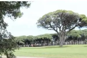 Le gazon Cynodon dactylon IBIZA sur un golf de Cannes