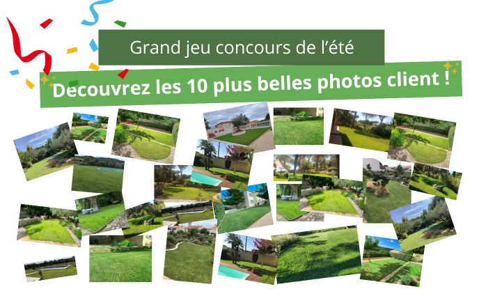 Concours du plus beau gazon de l'été 2024