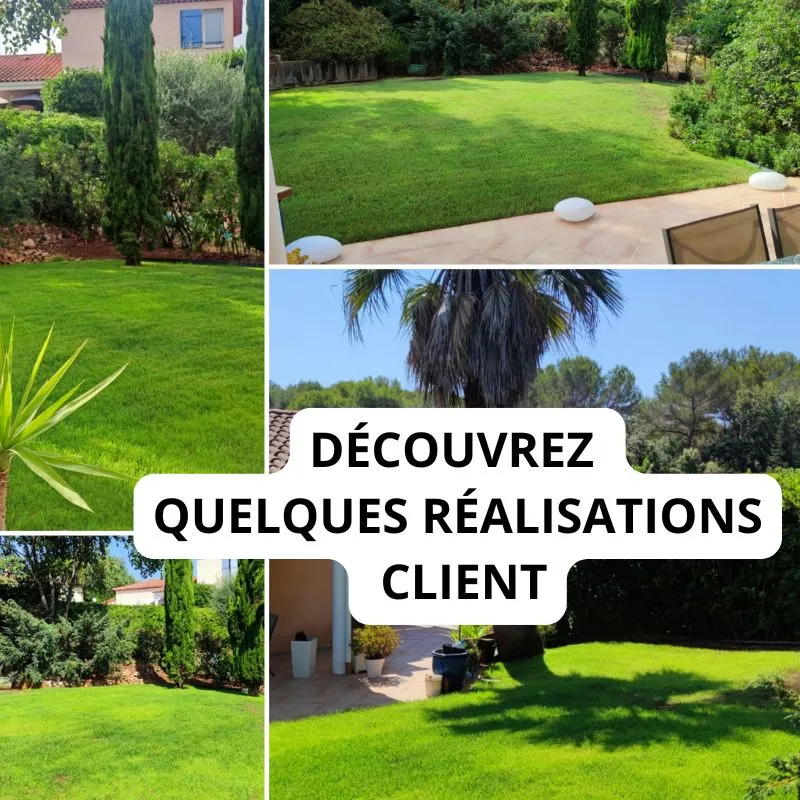 photos clients de gazon