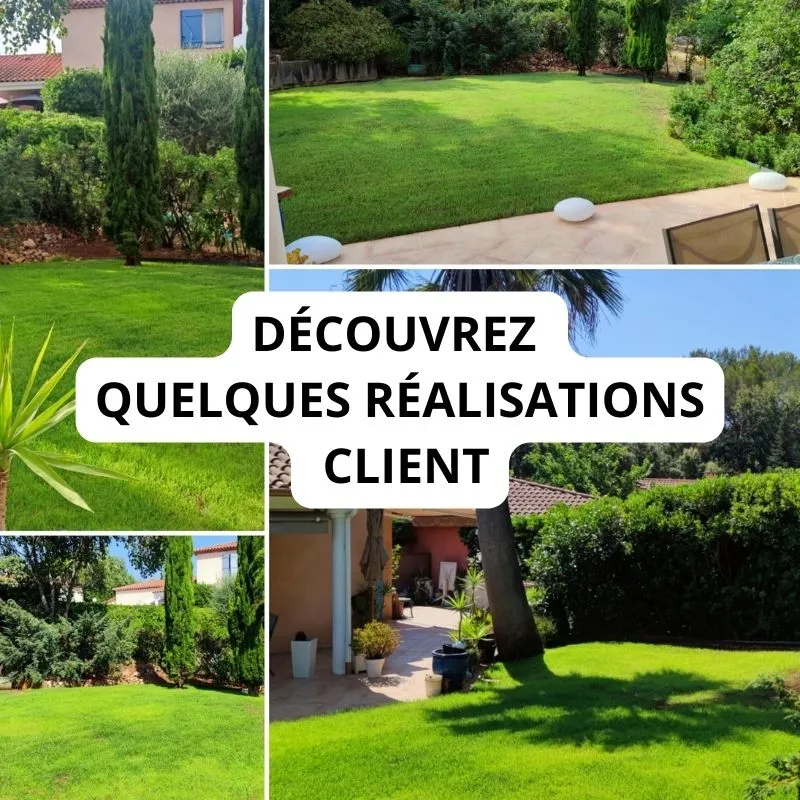 photos clients de gazon