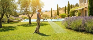 Engrais liquide pour gazon : avantages, utilisations et comparatif complet