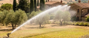 Arrosage du Gazon : Guide Complet 2026 | Saison, Région, Type